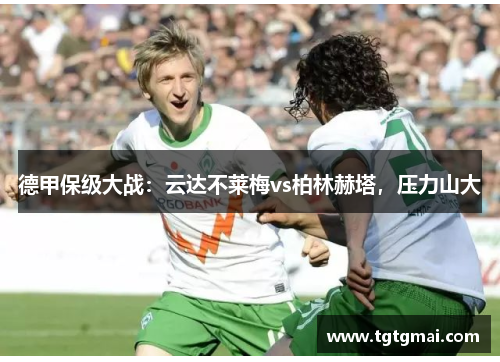 德甲保级大战：云达不莱梅vs柏林赫塔，压力山大