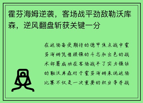 霍芬海姆逆袭，客场战平劲敌勒沃库森，逆风翻盘斩获关键一分